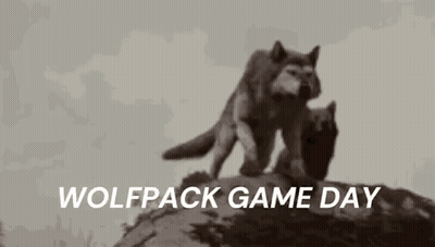 Two Wolves Standing On Rock Wolfpack Game Day GIF