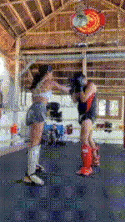 Two Women Are Fighting In A Boxing Ring With A Sign Above Them That Says ' Fighting Club ' GIF