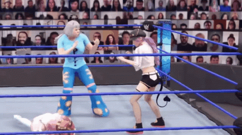 Two Women Are Fighting In A Wrestling Ring With A W Logo On The Corner GIF