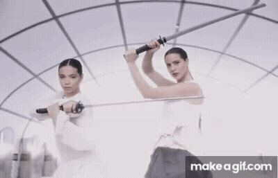 Two Women Are Holding Swords In Front Of A Mirror . GIF