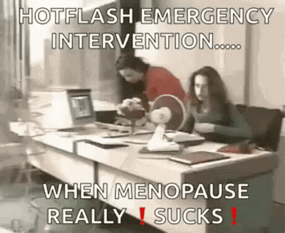 Two Women Are Sitting At A Desk In Front Of A Computer With A Fan . GIF
