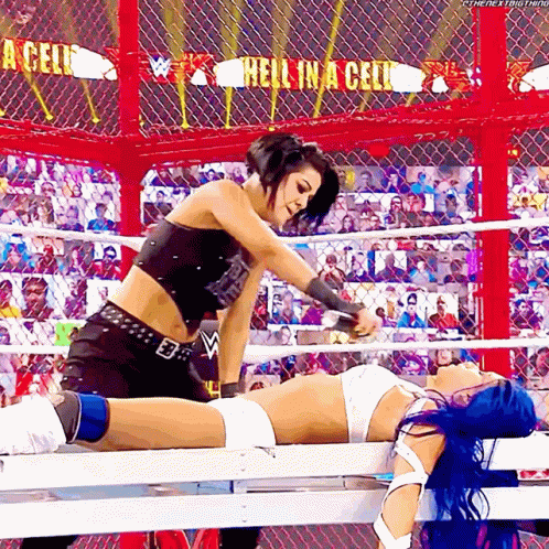 Two Women Are Wrestling In A Ring With The Words Hell In A Cell Behind Them GIF