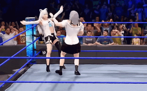Two Women Are Wrestling In A Wrestling Ring With A Crowd Behind Them GIF