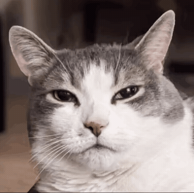 Two Women Dancing In Club Say Girls Night Lets Do This GIF