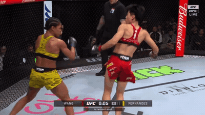 Two Women Fighting In Boxing Ring With Budweiser Banner GIF