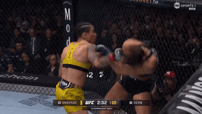 Two Women Fighting In Cage With UFC Logo GIF