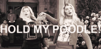Two Women Hold My Poodle GIF