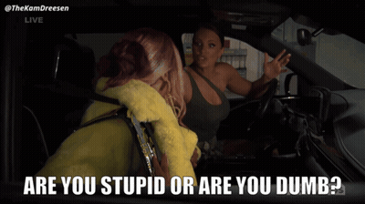 Two Women In A Car With The Words " Are You Stupid Or Are You Dumb " On The Bottom GIF