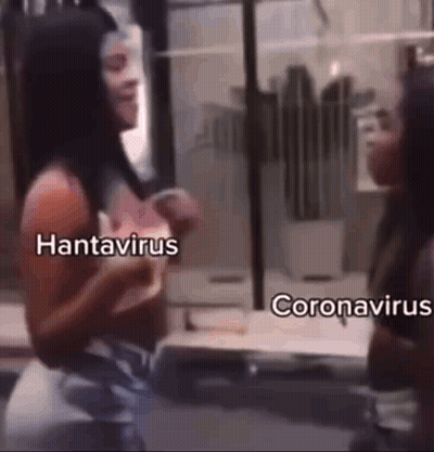 Two Women Next To Hantavirus And Coronavirus GIF