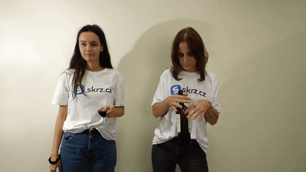 Two Women Prosecco For Girl's Night Out GIF