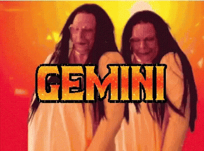 Two Women Standing Next To Gemini Word GIF