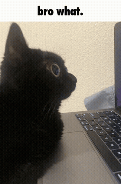 Two Women When No One Is Listening GIF