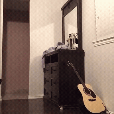 Two Women With Bunny Mascot In Cement Shirt GIF