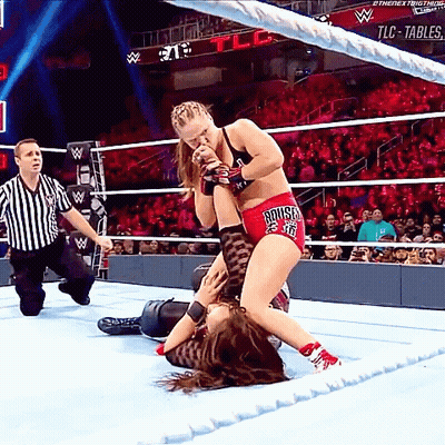 Two Women Wrestling In Ring GIF
