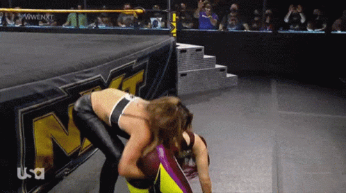 Two Women Wrestling In Ring With NXT Sign GIF