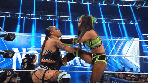 Two Women Wrestling In Ring With W GIF