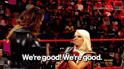 Two Women Wrestling Ring Saying We're Good GIF