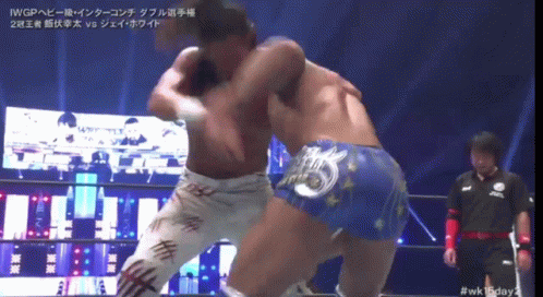 Two Wrestlers Are Fighting In A Ring With A Referee Watching GIF