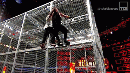Two Wrestlers Are In A Cage With The Word Hellina On The Wall GIF