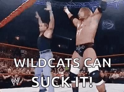 Two Wrestlers Are Standing In A Wrestling Ring With Their Arms In The Air And The Words Wildcats Can Suck It . GIF