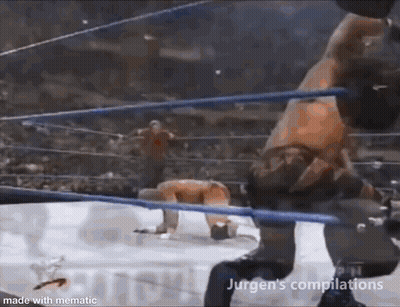 Two Wrestlers Fighting In Ring With Crowd GIF