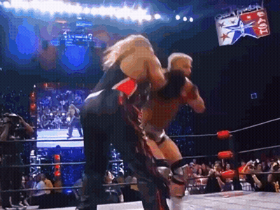 Two Wrestlers Fighting In Ring With Reebok Sign GIF