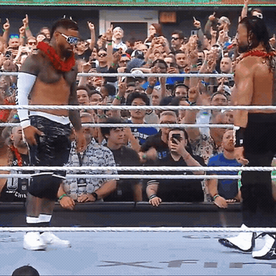 Two Wrestlers In A Ring With A Crowd Behind Them GIF
