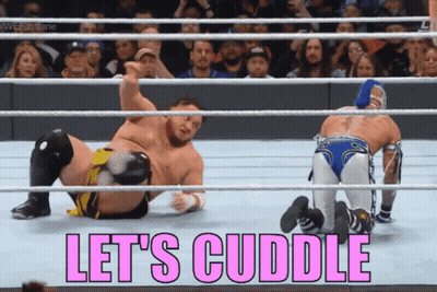 Two Wrestlers In A Wrestling Ring With The Words Let 'S Cuddle On The Bottom GIF