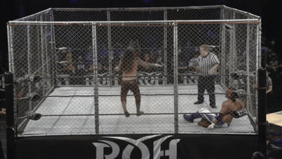 Two Wrestlers In Cage With Poh Sign GIF