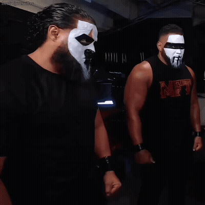 Two Wrestlers In Masks And MT Shirt GIF