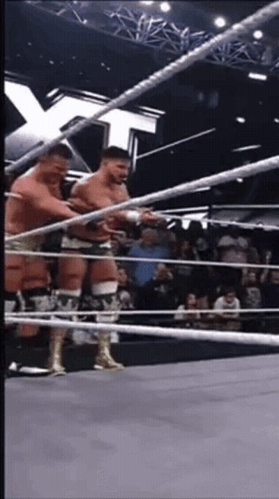 Two Wrestlers In Ring GIF