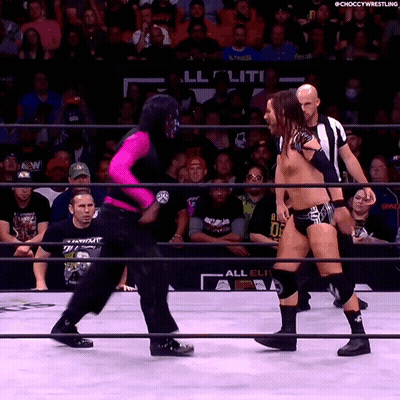 Two Wrestlers In Ring With All Elite Wrestling Sign GIF