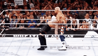 Two Wrestlers In Ring With American Nation Sign GIF