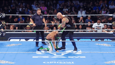 Two Wrestlers In Ring With Crowd Watching GIF