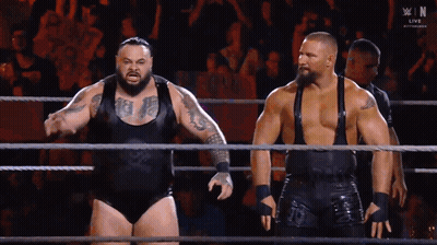 Two Wrestlers In Ring With Letter N GIF
