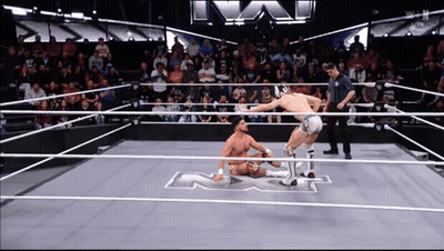Two Wrestlers In Ring With Letter N GIF