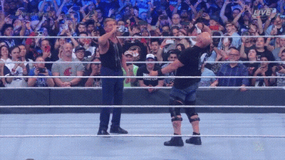 Two Wrestlers In Ring With Live Sign And Crowd GIF