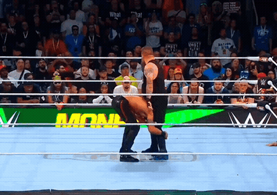Two Wrestlers In Ring With Monk Sign GIF