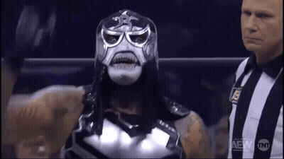 Two Wrestlers In Ring With Netflix GIF