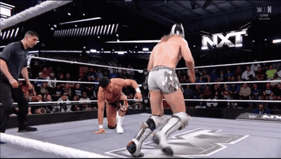 Two Wrestlers In Ring With NXT On Wall GIF