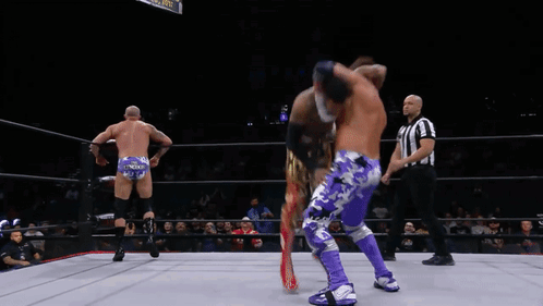Two Wrestlers In Ring With Referee GIF