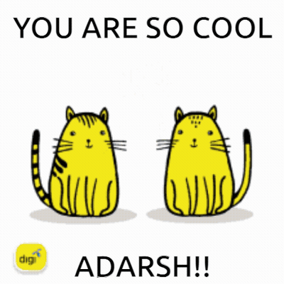 Two Yellow Cats Giving Each Other A High Five With The Words " You Are So Cool " GIF