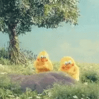 Two Yellow Chickens In Field GIF