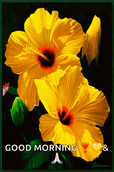 Two Yellow Flowers Good Morning Hearts GIF