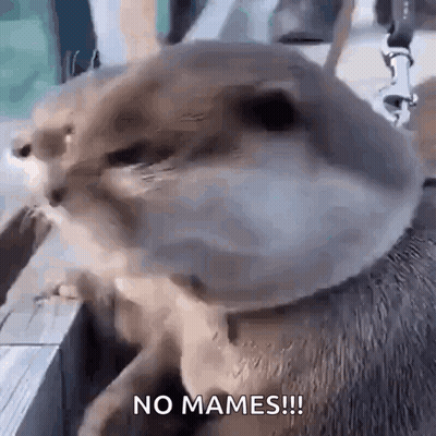 Two Young Men In Car Saying Pues Si Wey GIF