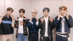 TXT Boys Cat And Dog Gestures GIF