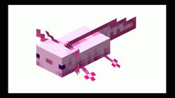 Types Of Pixelated Axolotl Meme GIF