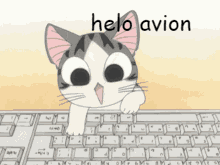 Typing Cat Helo Avion