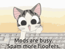 Typing Cat Mods Are Busy