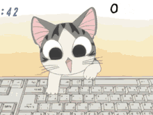 Typing Cat Omg Lol